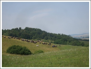 IX. Görgey Emléktúra