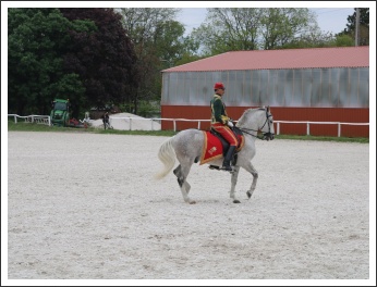 Kishuszárok Simonpusztán (fotó: Szabolcs István)