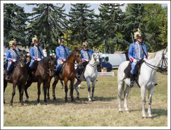 A MHKHSZ Lovasság küllemi és alaki minősítője - fotó: Horváth Gábor