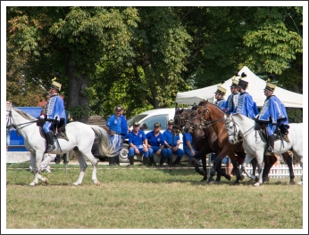 A MHKHSZ Lovasság küllemi és alaki minősítője - fotó: Horváth Gábor
