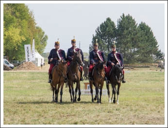 A MHKHSZ Lovasság küllemi és alaki minősítője - fotó: Horváth Gábor