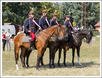 A MHKHSZ Lovasság küllemi és alaki minősítője - fotó: Horváth Gábor