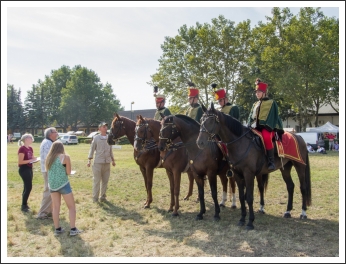 A MHKHSZ Lovasság küllemi és alaki minősítője - fotó: Horváth Gábor