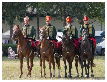 A MHKHSZ Lovasság küllemi és alaki minősítője - fotó: Horváth Gábor