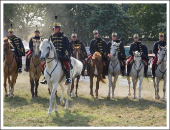 A MHKHSZ Lovasság küllemi és alaki minősítője - fotó: Horváth Gábor