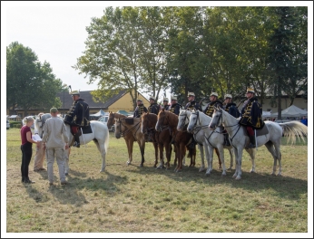 A MHKHSZ Lovasság küllemi és alaki minősítője - fotó: Horváth Gábor