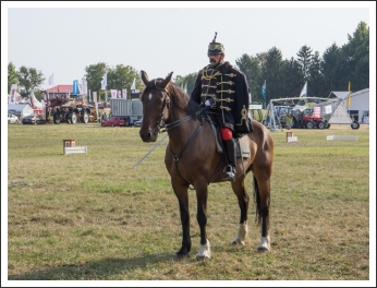 A MHKHSZ Lovasság küllemi és alaki minősítője - fotó: Horváth Gábor