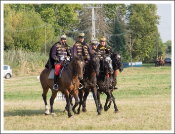 A MHKHSZ Lovasság küllemi és alaki minősítője - fotó: Horváth Gábor