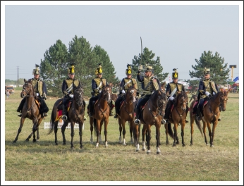 A MHKHSZ Lovasság küllemi és alaki minősítője - fotó: Horváth Gábor