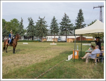 A MHKHSZ Lovasság küllemi és alaki minősítője - fotó: Horváth Gábor
