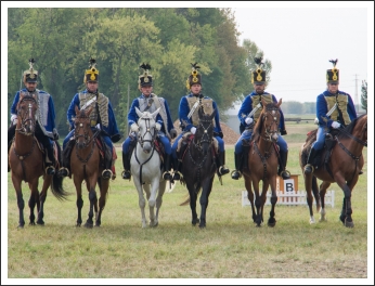 A MHKHSZ Lovasság küllemi és alaki minősítője - fotó: Horváth Gábor