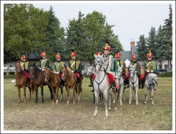 A MHKHSZ Lovasság küllemi és alaki minősítője - fotó: Horváth Gábor