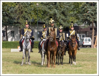 A MHKHSZ Lovasság küllemi és alaki minősítője - fotó: Horváth Gábor