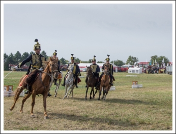 A MHKHSZ Lovasság küllemi és alaki minősítője - fotó: Horváth Gábor