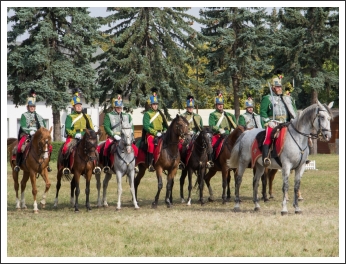 A MHKHSZ Lovasság küllemi és alaki minősítője - fotó: Horváth Gábor