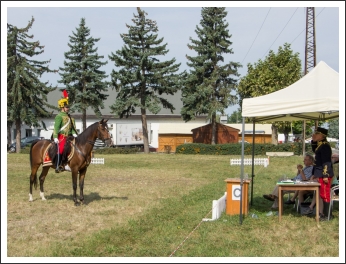 A MHKHSZ Lovasság küllemi és alaki minősítője - fotó: Horváth Gábor