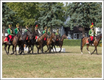 A MHKHSZ Lovasság küllemi és alaki minősítője - fotó: Horváth Gábor