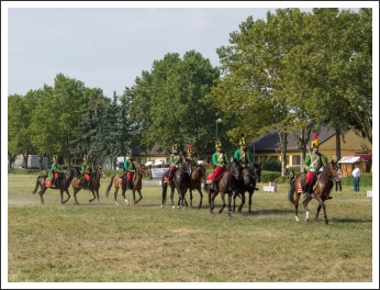 A MHKHSZ Lovasság küllemi és alaki minősítője - fotó: Horváth Gábor