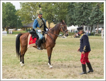 A MHKHSZ Lovasság küllemi és alaki minősítője - fotó: Horváth Gábor