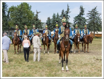 A MHKHSZ Lovasság küllemi és alaki minősítője - fotó: Horváth Gábor
