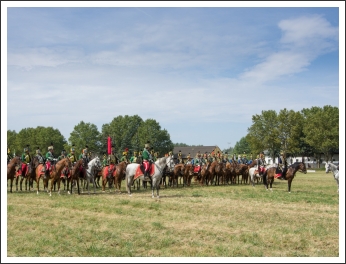 A MHKHSZ Lovasság küllemi és alaki minősítője - fotó: Pető István