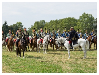 A MHKHSZ Lovasság küllemi és alaki minősítője - fotó: Pető István