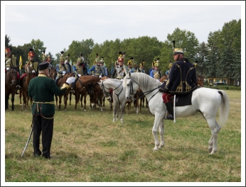 A MHKHSZ Lovasság küllemi és alaki minősítője - fotó: Pető István