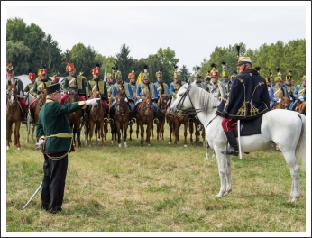 A MHKHSZ Lovasság küllemi és alaki minősítője - fotó: Pető István