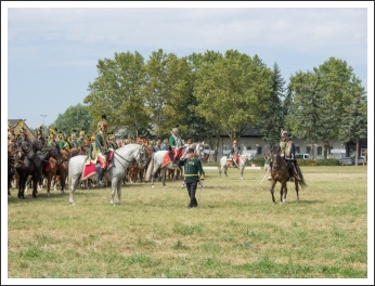A MHKHSZ Lovasság küllemi és alaki minősítője - fotó: Horváth Gábor