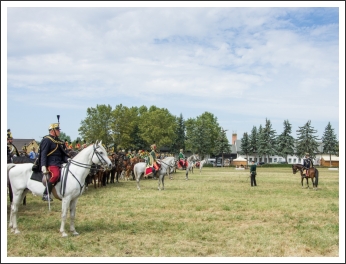 A MHKHSZ Lovasság küllemi és alaki minősítője - fotó: Horváth Gábor