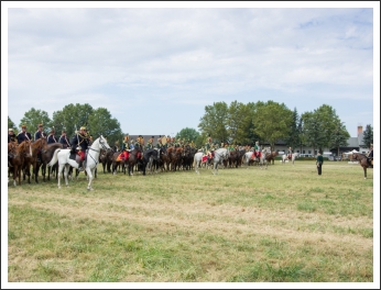 A MHKHSZ Lovasság küllemi és alaki minősítője - fotó: Horváth Gábor